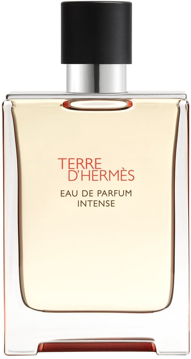 Hermès Terre d'Hermès Intense 100 ml Eau de Parfum Spray