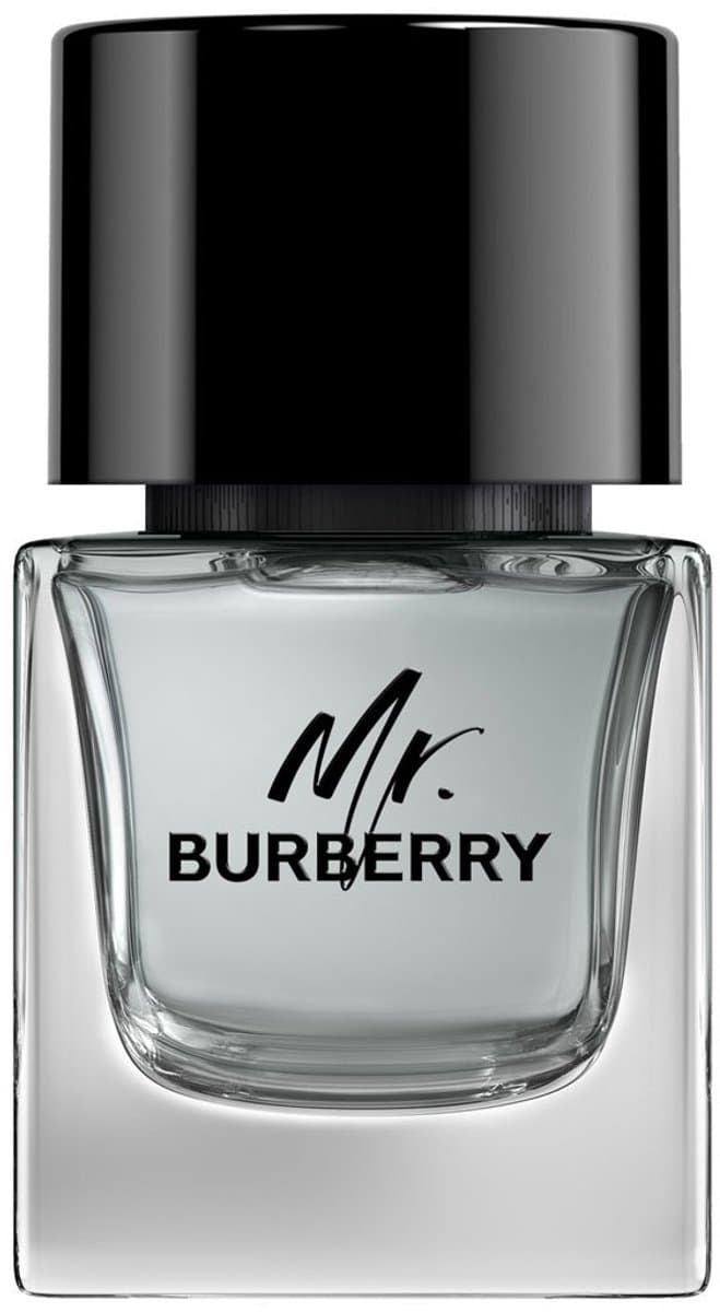 Burberry Mr. Burberry Eau de Toilette 50ml