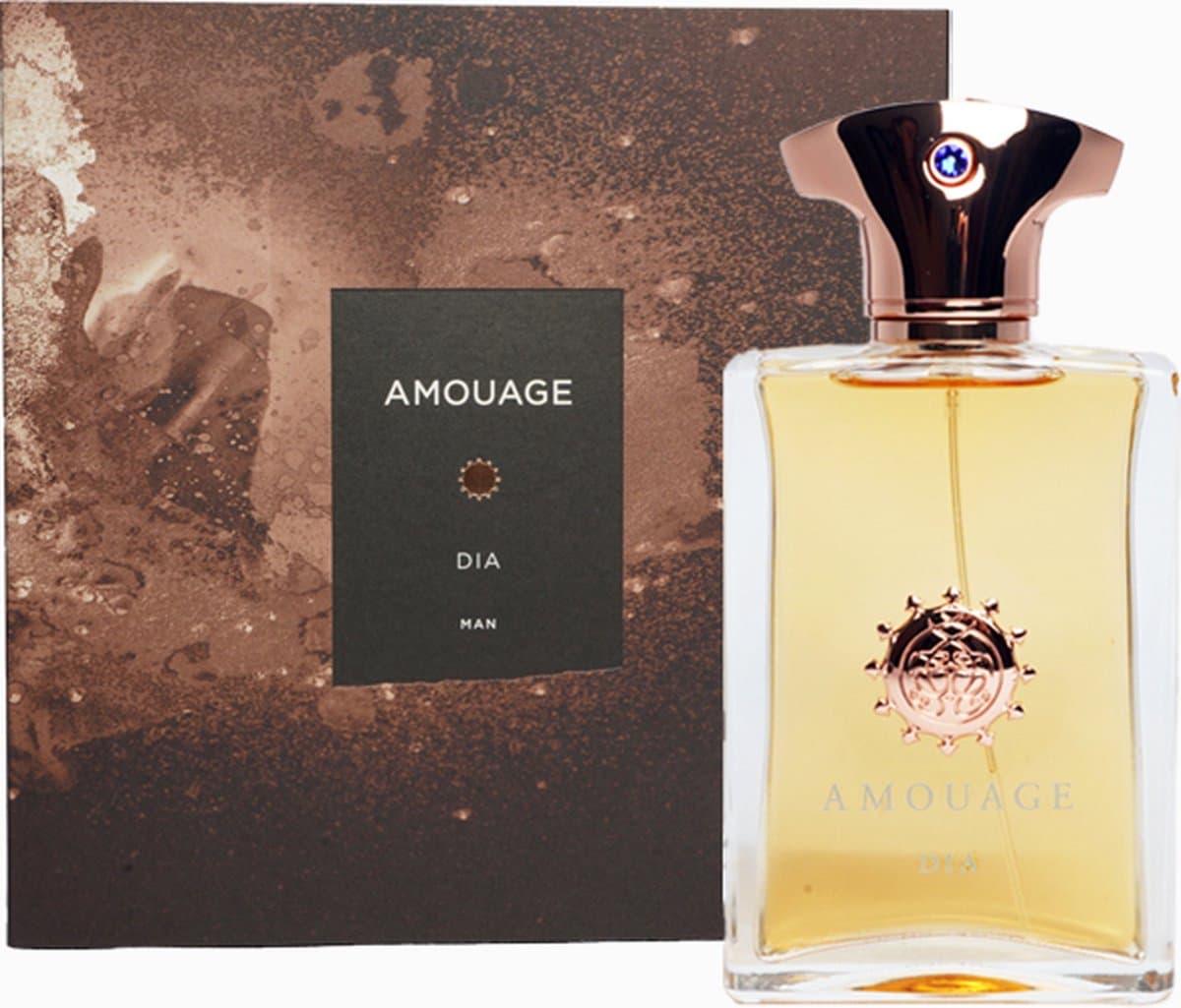 Amouage - Dia Man Eau de Parfum 100 ml - Mannen Parfum - Discontinued