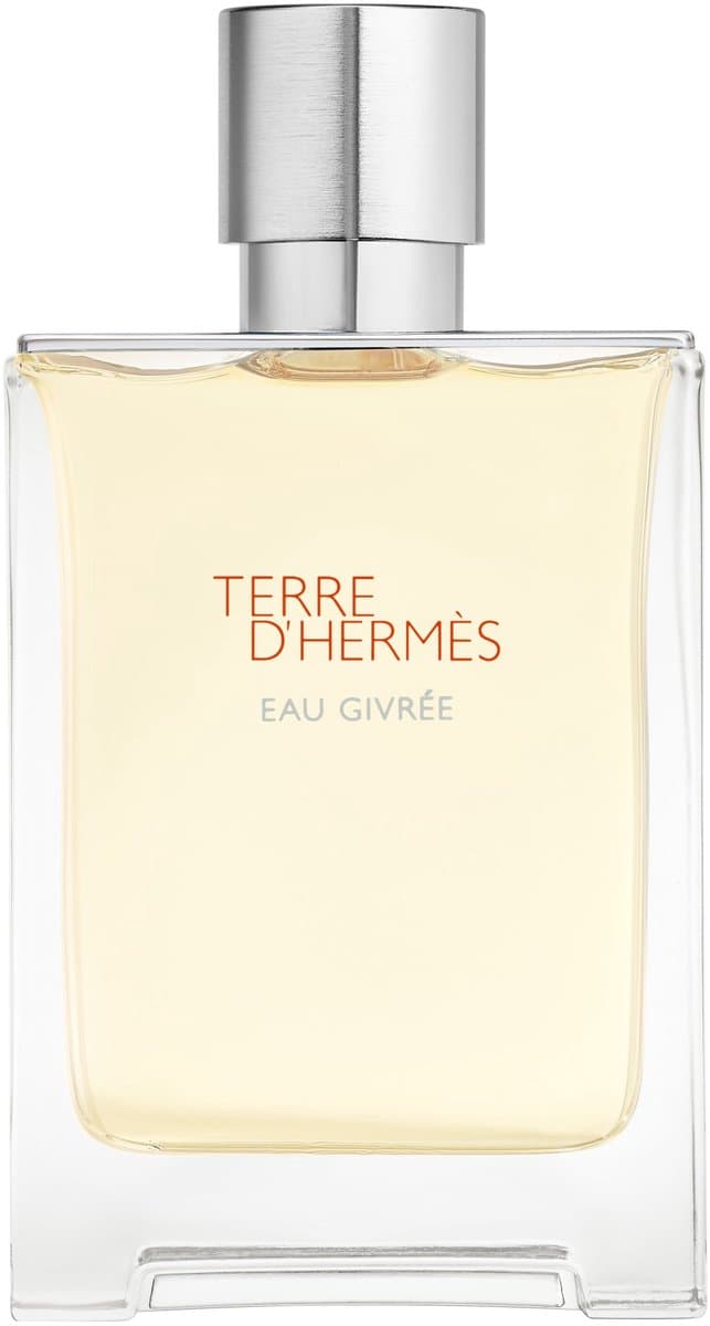 Hermès Terre d'Hermès Eau Givrée - Herenparfum eau de parfum - 100ml