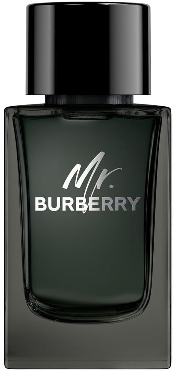 Burberry Mr. Burberry Eau de Parfum Herenparfum 150 ml