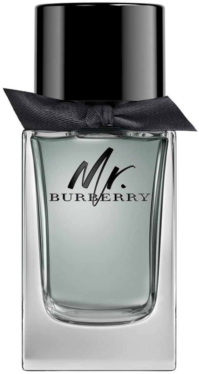 Burberry Mr. Burberry Eau de Toilette 100ml