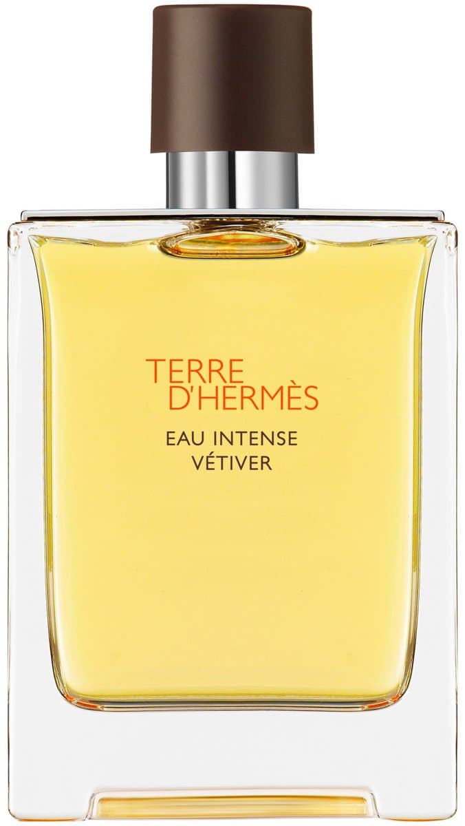 Hermes Terre d'Hermès Eau Intense Vétiver 100 ml - Eau de Parfum - Herenparfum