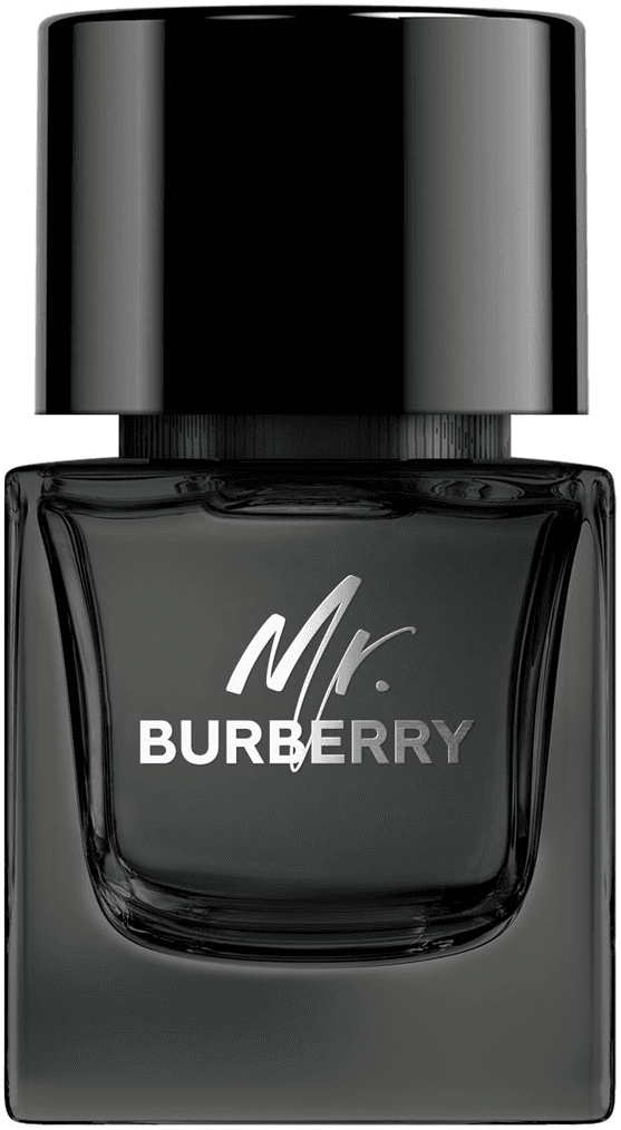 Burberry Mr. Burberry Eau de Parfum Spray 50 ml
